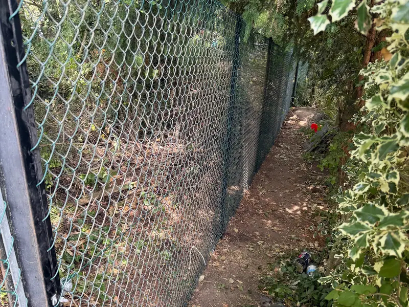 Finished green chain-link fence running along the same woodland path