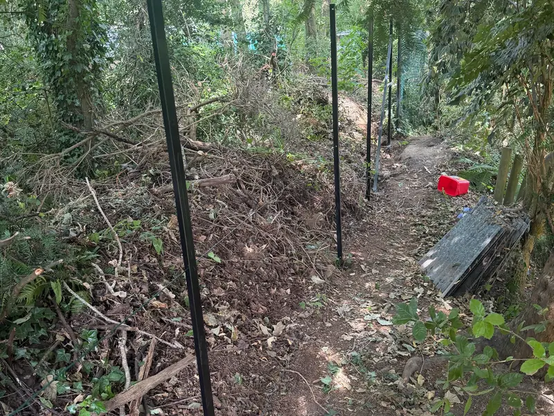 Metal fence posts set in along a woodland path before the mesh went on